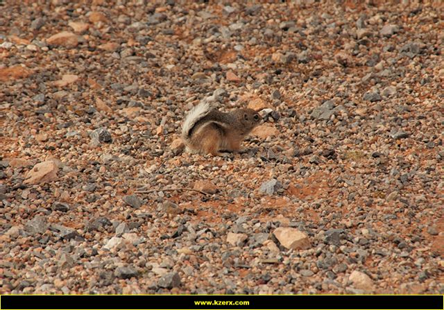 Valley of Fire