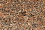 Valley of Fire