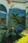 Bellagio