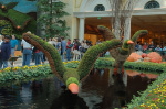 Bellagio