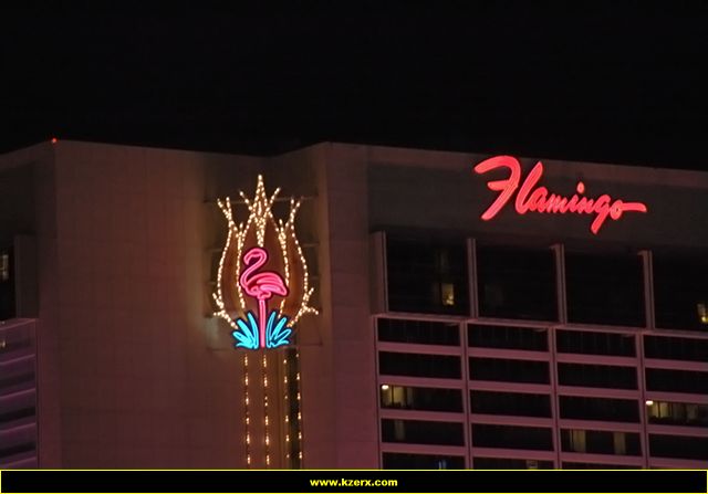 Flamingo