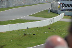 Canadian Grand Prix