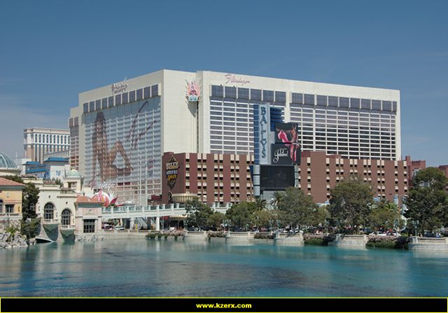 The Flamingo