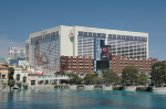 The Flamingo