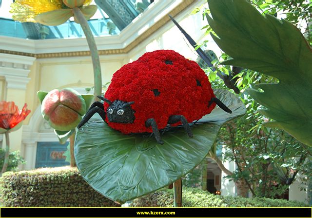 Bellagio