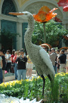 Bellagio
