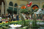 Bellagio