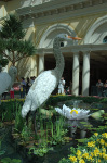 Bellagio