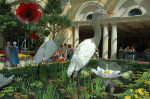 Bellagio