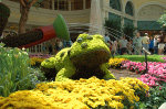 Bellagio