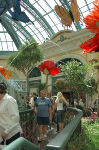 Bellagio