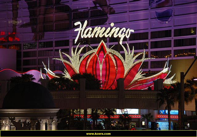 The Flamingo