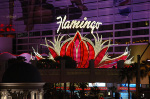 The Flamingo