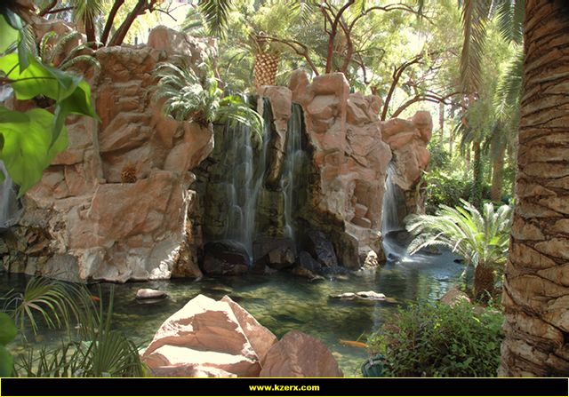 The Flamingo