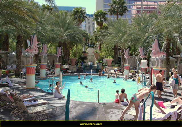 The Flamingo