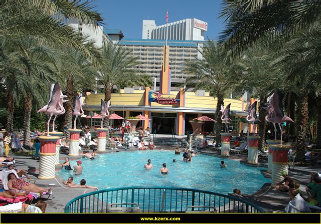 The Flamingo