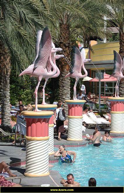 The Flamingo