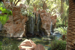 The Flamingo
