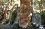The Flamingo