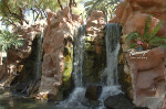 The Flamingo