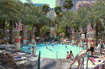 The Flamingo