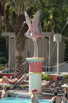 The Flamingo