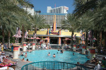 The Flamingo
