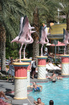 The Flamingo