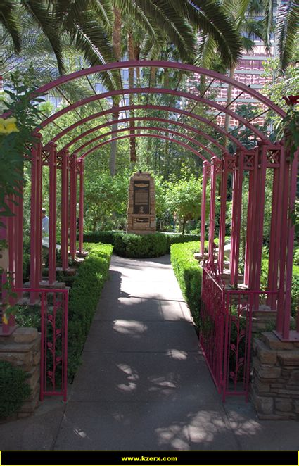 The Flamingo