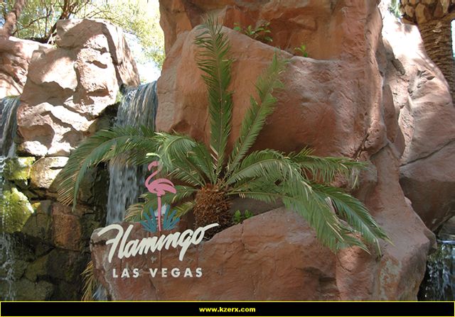 The Flamingo