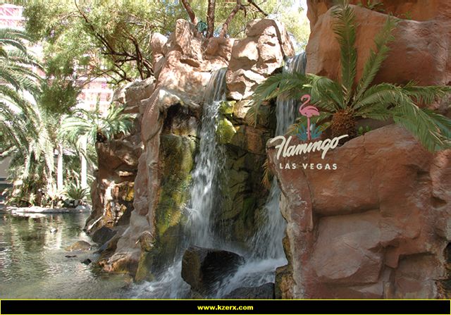 The Flamingo