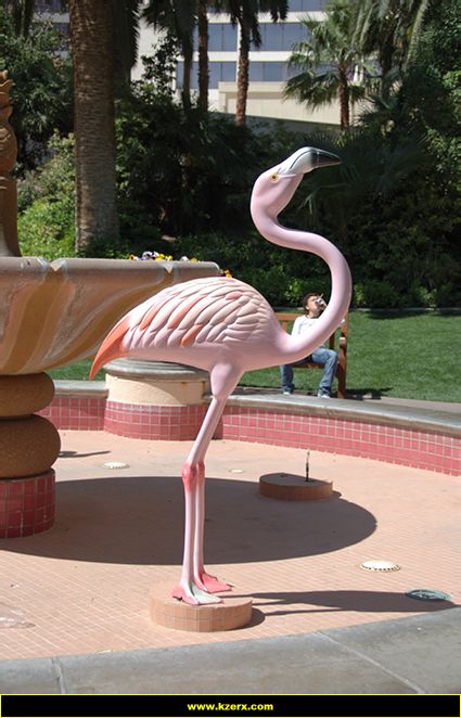 The Flamingo