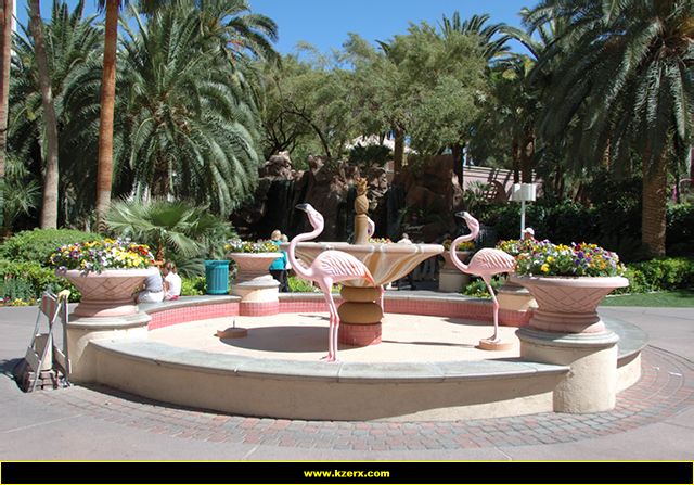 The Flamingo