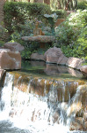 The Flamingo