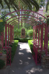 The Flamingo