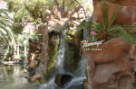 The Flamingo