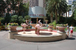 The Flamingo