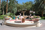 The Flamingo