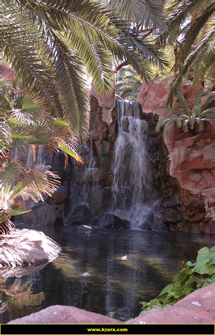 The Flamingo