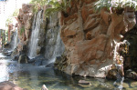 The Flamingo