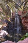 The Flamingo
