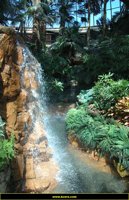 The Mirage