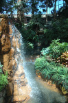 The Mirage
