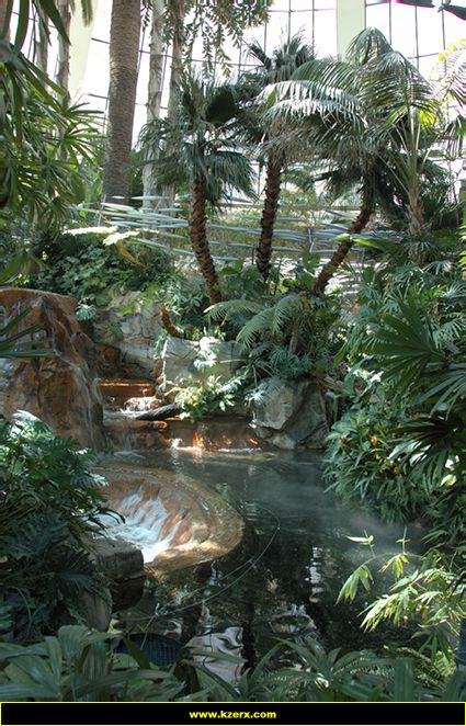 The Mirage