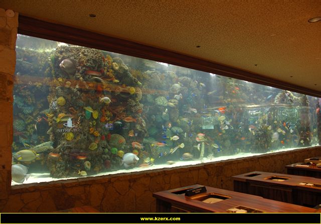 The Mirage