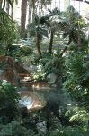 The Mirage