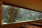 The Mirage