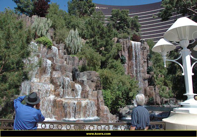 The Wynn