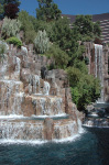 The Wynn