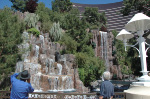 The Wynn